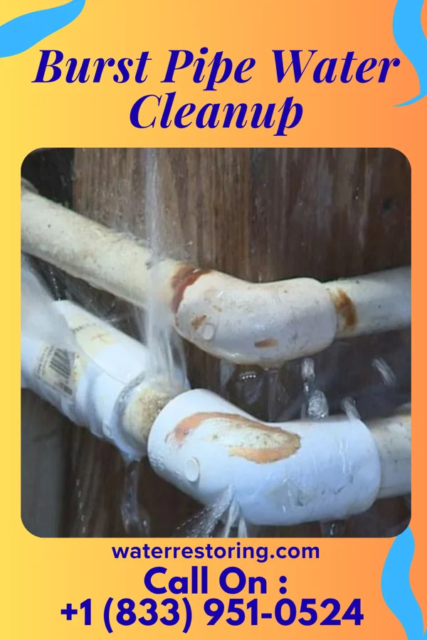 Burst Pipe Water Cleanup in Howard, WI