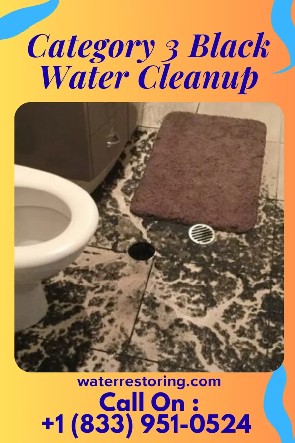 Category 3 Black Water Cleanup in Howard, WI